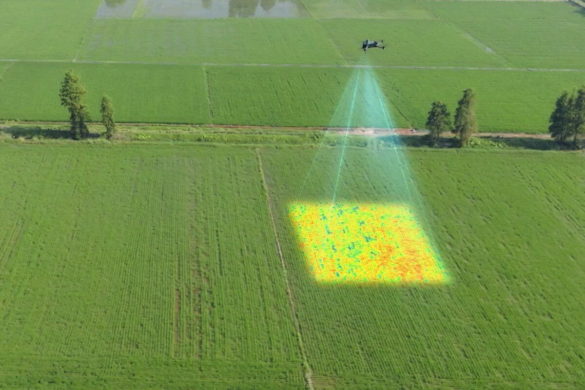 El dron pasando sobre un lote y el cuadro que va leyendo con la cámara multiespectral, pintado en los colores de la salud del cultivo.